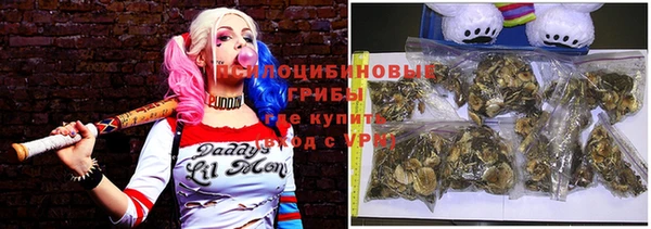 соль ск Лабытнанги
