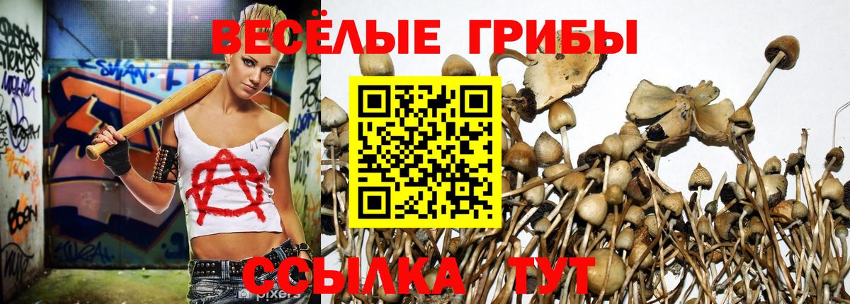 Псилоцибиновые грибы Magic Shrooms  Вход с VPN  Электросталь 